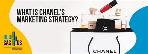 target market of chanel perfume|chanel brand marketing strategy.